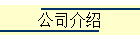 ˾